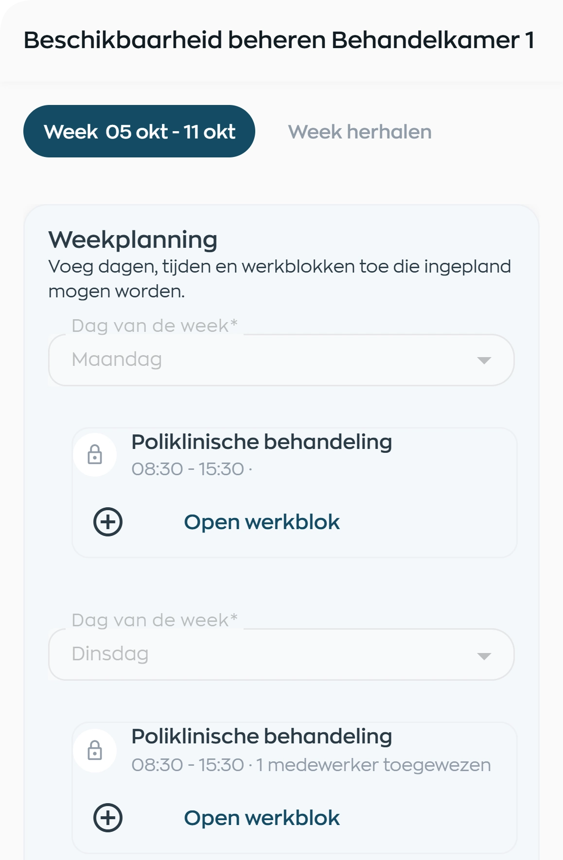 Configured workspace availability showing days, time slots and an outpatient treatment work block
