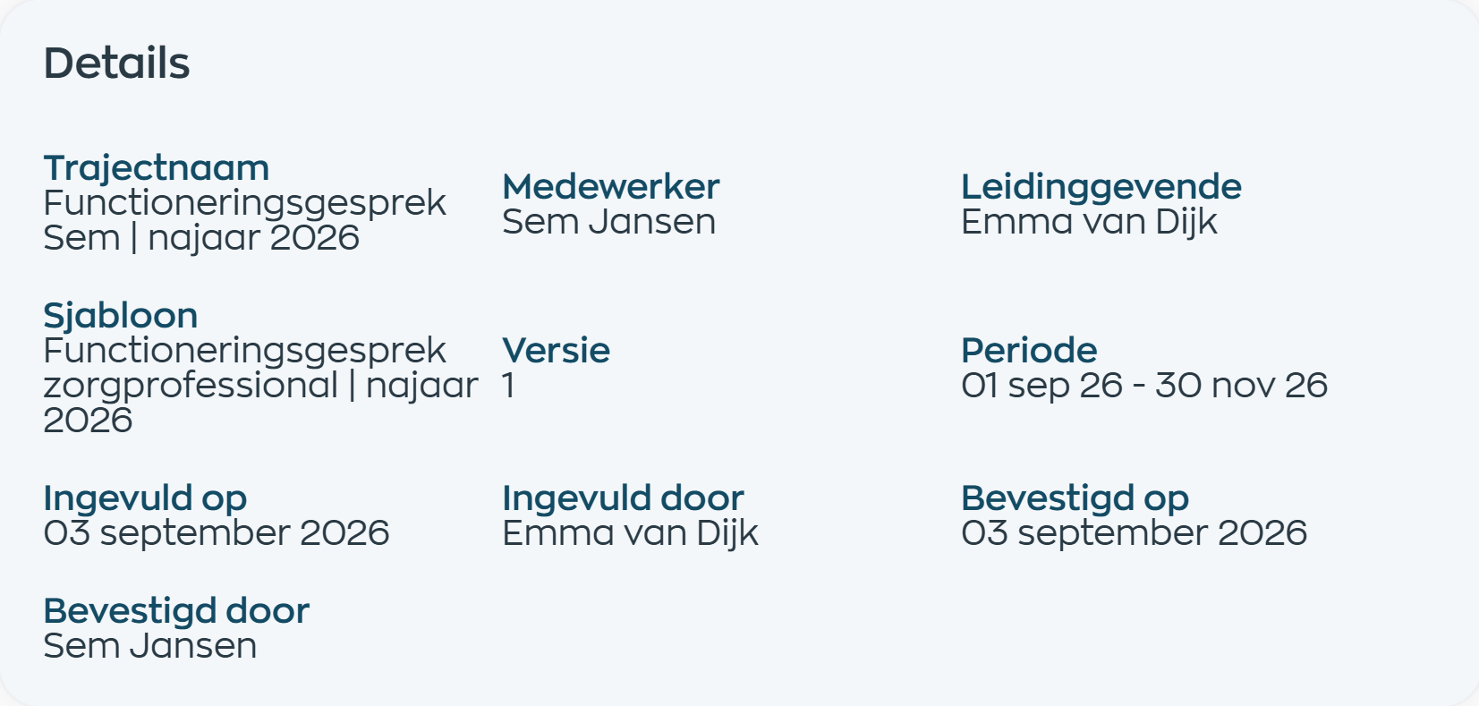 Custom organization template with a name, version, employee and manager